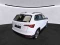 Skoda Karoq Tour 1.5 TSI NAVI AHK ACC RFK SHZ EPH Weiß - thumbnail 2