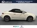 Alfa Romeo Spider 2.4 JTDm 200Cv Exclusive Bianco - thumbnail 6