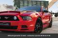 Ford Mustang GT Premium Tout compris hors homologation 4500e Rouge - thumbnail 6