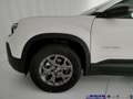 Jeep Avenger 1.2T 100cv Longitude Blanc - thumbnail 19