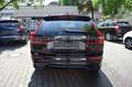 Volvo XC60 T6Plus Black Edition RechargePano,360°K,21 Чорний - thumbnail 6