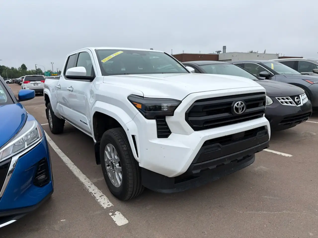 Toyota Tacoma снимка Toyota Tacoma