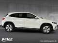 Mercedes-Benz EQA 250 + Progressive/Advanced/LED/Kamera/Navi/ Weiß - thumbnail 20