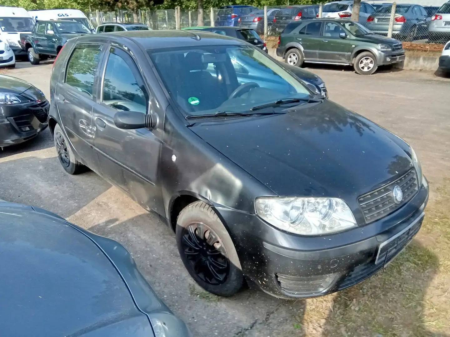 Fiat Punto 1.2 8V Dynamic Noir - 2