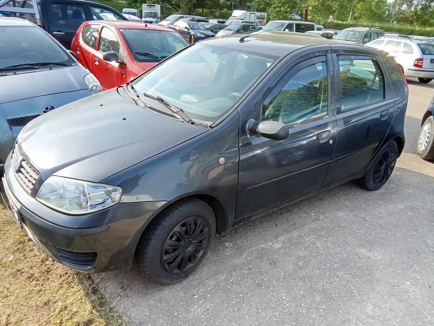 Fiat Punto 1.2 8V Dynamic Noir - 1