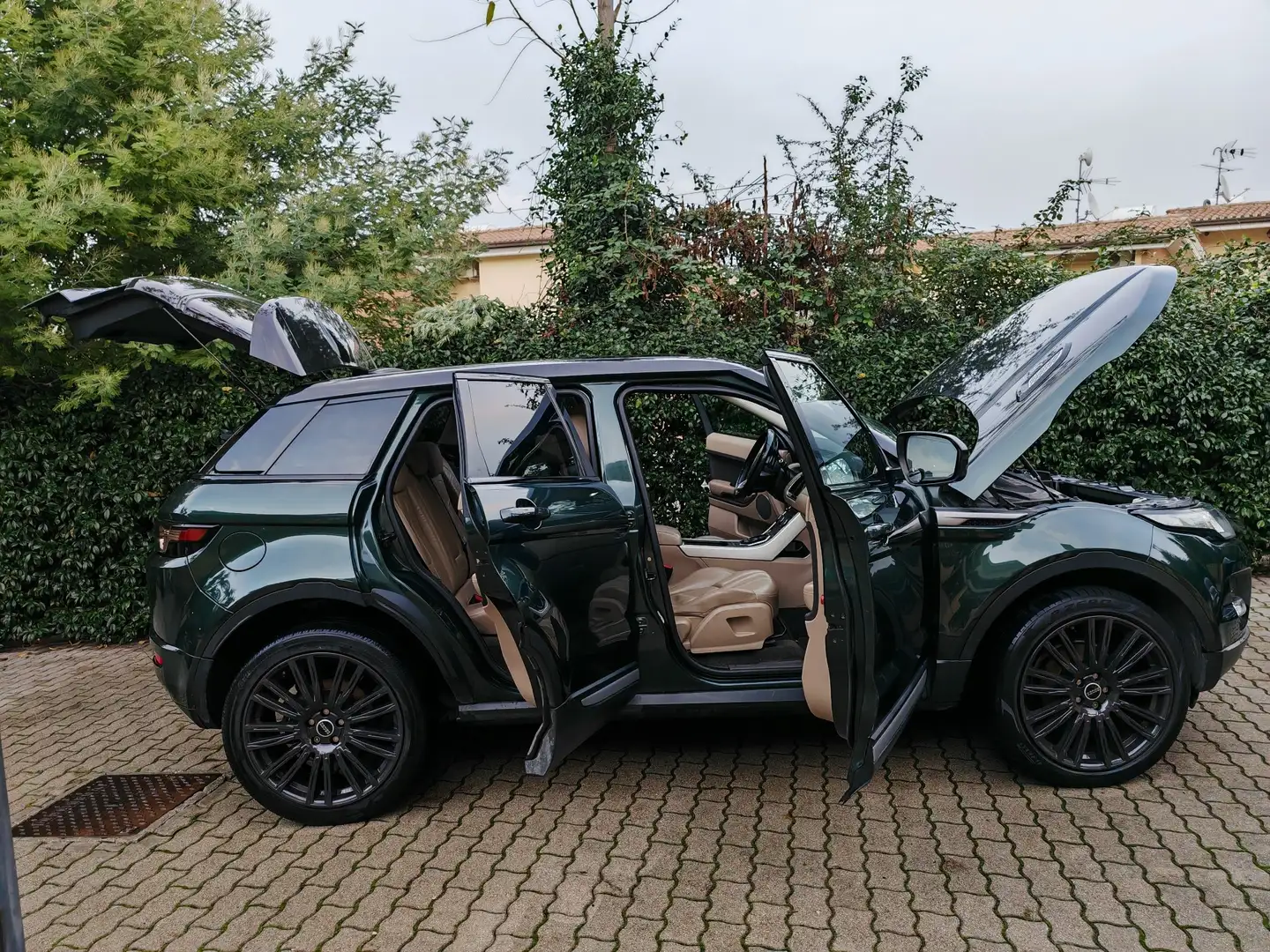 Land Rover Range Rover Evoque sport pack, cerchi 20", schermo 10" carplay,  full Green - 2