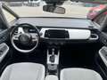 Honda Jazz Jazz  1.5 hev Executive Gris - thumbnail 7