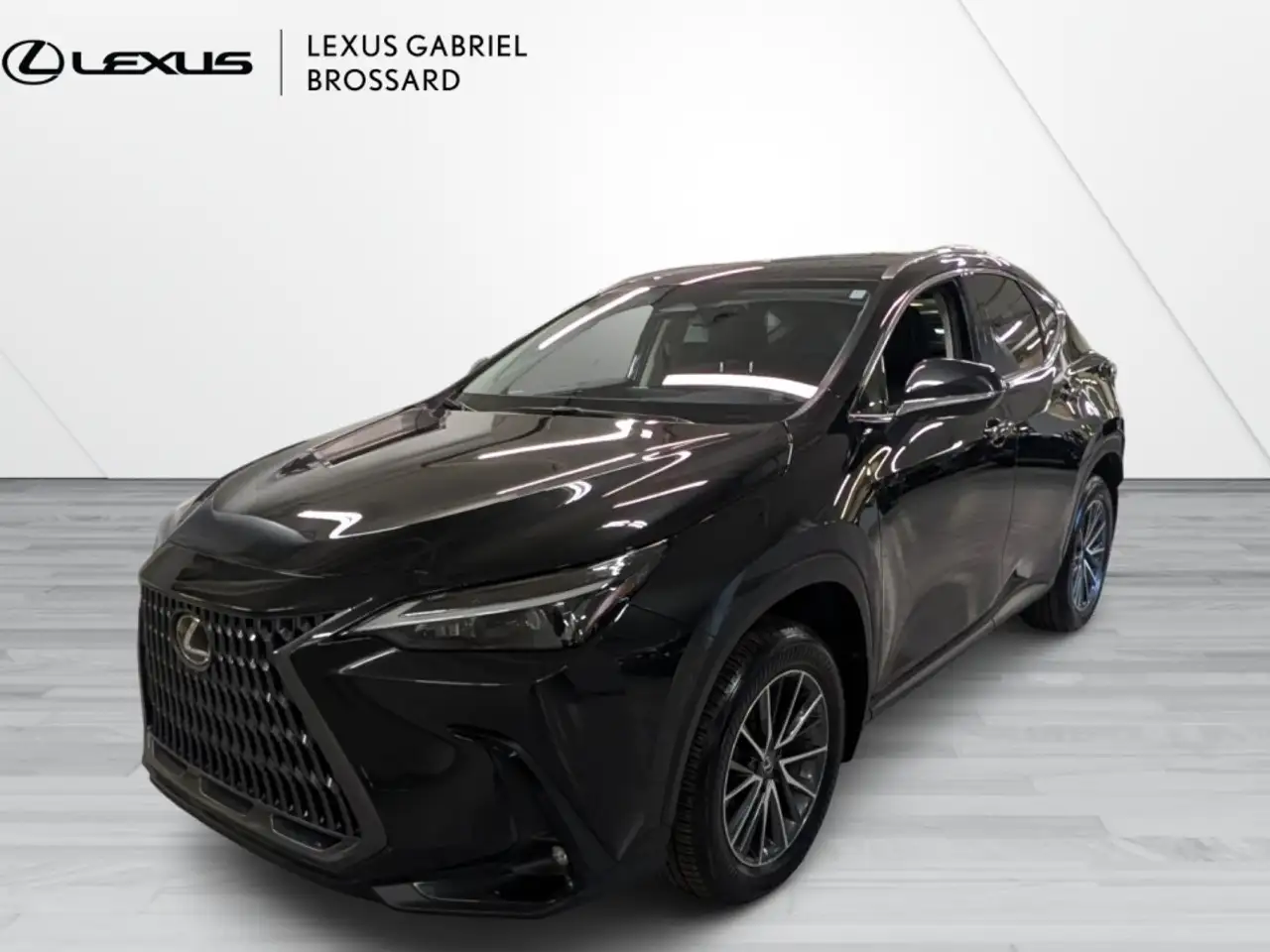 2024 Lexus NX