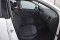 Volkswagen Polo BlueMotion 1,4 TDI Weiß - thumbnail 14
