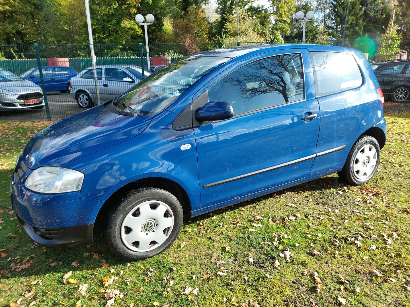 Volkswagen Fox Basis Blau - 2