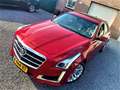 Cadillac CTS 2.0 TURBO EXECUTIVE BJ.2015 PANORAMA-DAK/BEIGE-LED Rouge - thumbnail 5