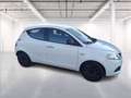 Lancia Ypsilon 1.0 firefly hybrid Silver s&s 70cv Bianco - thumbnail 8