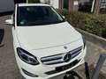 Mercedes-Benz B 180 Urban Sport Leder LED AHK Navi 17 Zoll P Weiß - thumbnail 1