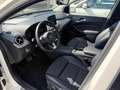 Mercedes-Benz B 180 Urban Sport Leder LED AHK Navi 17 Zoll P Weiß - thumbnail 10