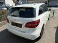 Mercedes-Benz B 180 Urban Sport Leder LED AHK Navi 17 Zoll P Blanc - thumbnail 2