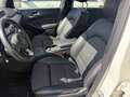 Mercedes-Benz B 180 Urban Sport Leder LED AHK Navi 17 Zoll P Blanc - thumbnail 6