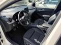 Mercedes-Benz B 180 Urban Sport Leder LED AHK Navi 17 Zoll P Blanc - thumbnail 15