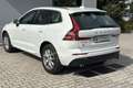Volvo XC60 XC60 D4 AWD Geartronic Momentum Bianco - thumbnail 7