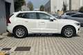 Volvo XC60 XC60 D4 AWD Geartronic Momentum Bianco - thumbnail 4