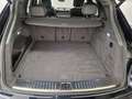 Porsche Cayenne Panorama 20 Zoll, ACC, Luftfeder, Kamera Blauw - thumbnail 12