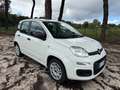 Fiat Panda 1.0 FireFly S&S Hybrid Easy Weiß - thumbnail 3