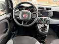 Fiat Panda 1.0 FireFly S&S Hybrid Easy Weiß - thumbnail 13