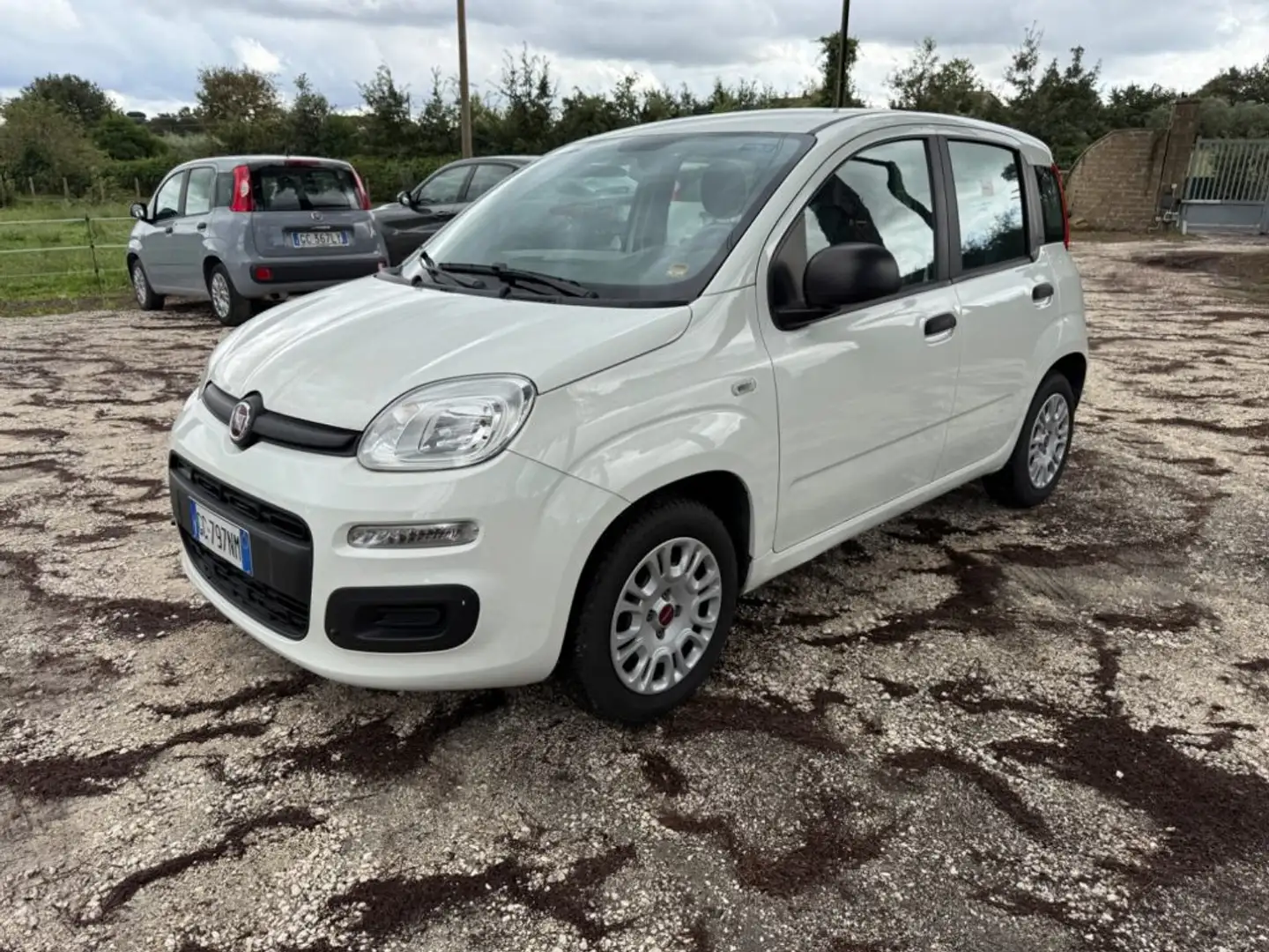 Fiat Panda 1.0 FireFly S&S Hybrid Easy Weiß - 1
