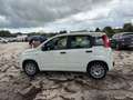 Fiat Panda 1.0 FireFly S&S Hybrid Easy Weiß - thumbnail 8