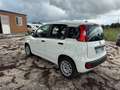 Fiat Panda 1.0 FireFly S&S Hybrid Easy Weiß - thumbnail 7