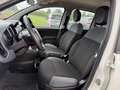 Fiat Panda 1.0 FireFly S&S Hybrid Easy Weiß - thumbnail 11