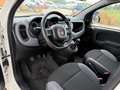 Fiat Panda 1.0 FireFly S&S Hybrid Easy Weiß - thumbnail 10