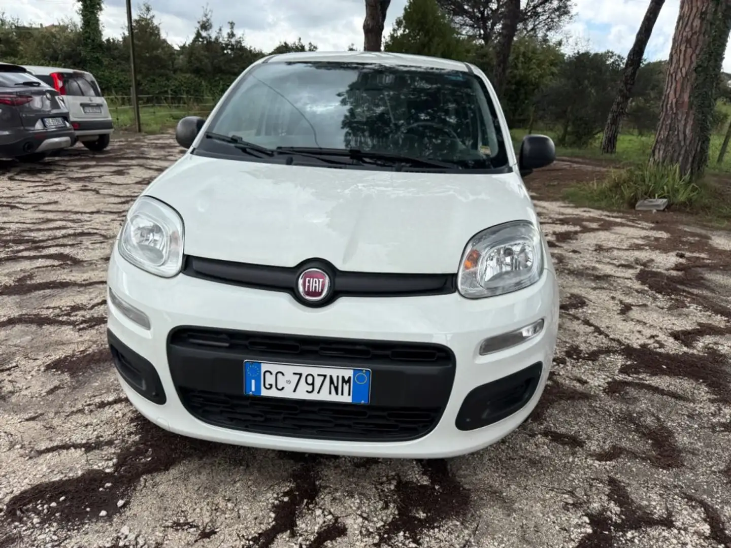 Fiat Panda 1.0 FireFly S&S Hybrid Easy Weiß - 2