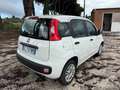 Fiat Panda 1.0 FireFly S&S Hybrid Easy Weiß - thumbnail 5