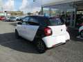 smart forFour Forfour 1.0 Passion 71cv twinamic my18 Bianco - thumbnail 6