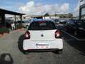 smart forFour Forfour 1.0 Passion 71cv twinamic my18 Bianco - thumbnail 7