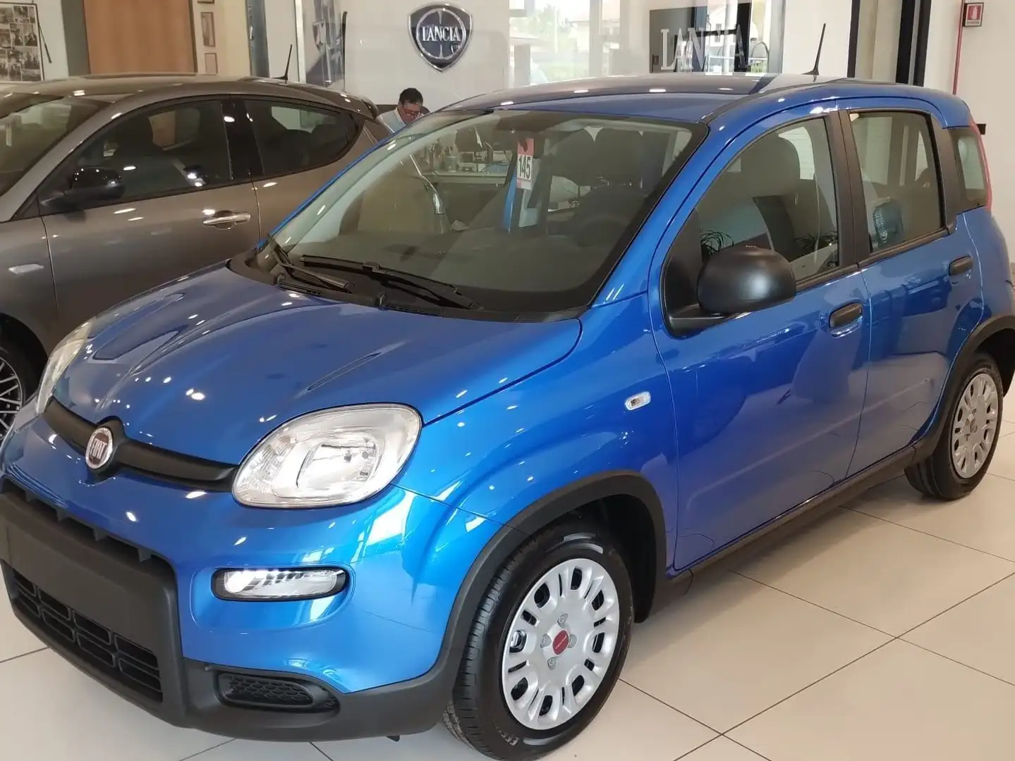 Fiat Panda Panda 1.0 firefly hybrid KM0 Blu/Azzurro - 1