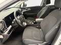 Kia Sportage 1.6 T-GDi 118kW (160CV) MHEV Tech 4x2 Blanco - thumbnail 9