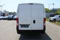 Peugeot Boxer Boxer Bus 3300 L4H2 2,2 HDi 130 FAP/Spezialumbau/ - thumbnail 7