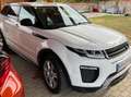Land Rover Range Rover Evoque Range Rover Evoque SE 2,0 TD4 Aut. SE Weiß - thumbnail 5