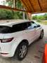 Land Rover Range Rover Evoque Range Rover Evoque SE 2,0 TD4 Aut. SE Weiß - thumbnail 4