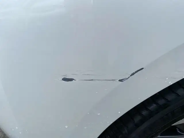 Peugeot 308 view 14