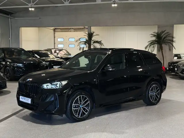 BMW X1 view 12