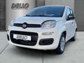 Fiat Panda Gewerbeleasing Klimaanlage Parkpilot ZV,Radio mit Bianco - thumbnail 1