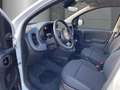 Fiat Panda Gewerbeleasing Klimaanlage Parkpilot ZV,Radio mit Bianco - thumbnail 7