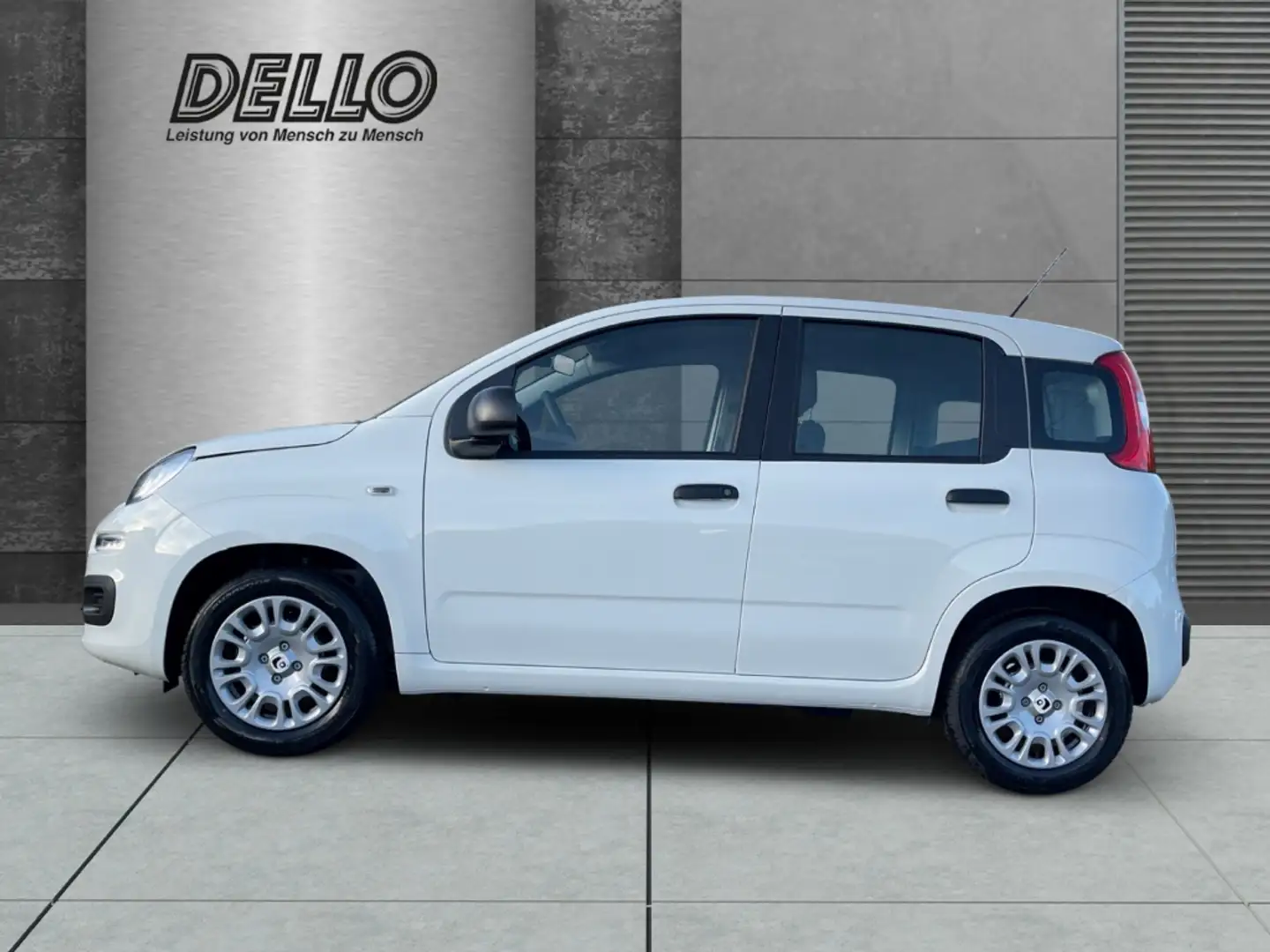 Fiat Panda Gewerbeleasing Klimaanlage Parkpilot ZV,Radio mit Bianco - 2