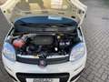 Fiat Panda Gewerbeleasing Klimaanlage Parkpilot ZV,Radio mit Bianco - thumbnail 14