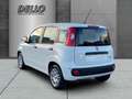 Fiat Panda Gewerbeleasing Klimaanlage Parkpilot ZV,Radio mit Bianco - thumbnail 3