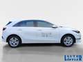 Kia Ceed / cee'd Vision NAVI^ RFK^ SHZ^ TEMPO^ KLIMA^ Klima Navi Weiß - thumbnail 6