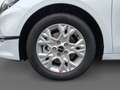 Kia Ceed / cee'd Vision NAVI^ RFK^ SHZ^ TEMPO^ KLIMA^ Klima Navi Weiß - thumbnail 14