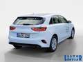 Kia Ceed / cee'd Vision NAVI^ RFK^ SHZ^ TEMPO^ KLIMA^ Klima Navi Weiß - thumbnail 5
